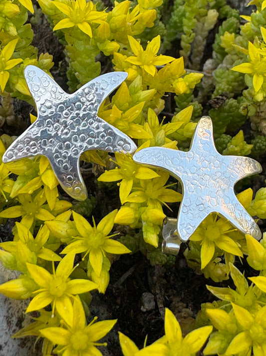 Boucles d'Oreilles Etoiles de Mer Argent - Bijou Marin