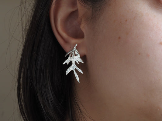 Boucles d'Oreilles Feuilles d'Olivier en Argent
