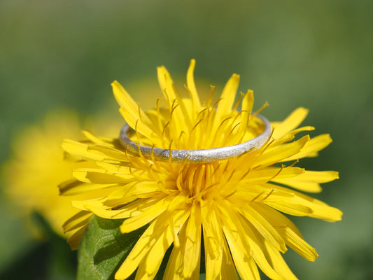 Bague Comète